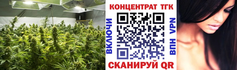 ТГК концентрат  продажа наркотиков  omg онион  Тайшет 