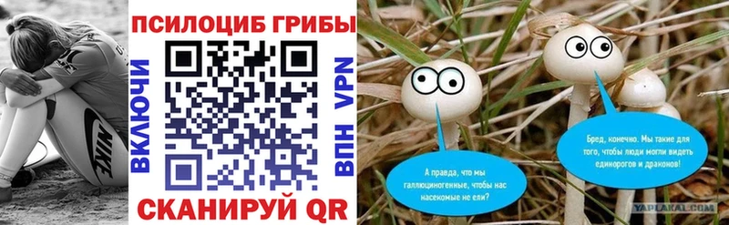 mega зеркало  Тайшет  Псилоцибиновые грибы MAGIC MUSHROOMS  наркотики 