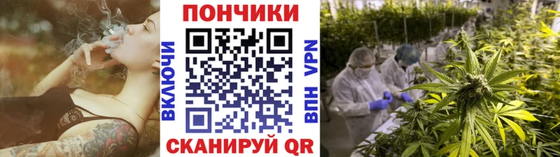 Конопля план  Тайшет 
